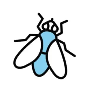 Dead insect activity