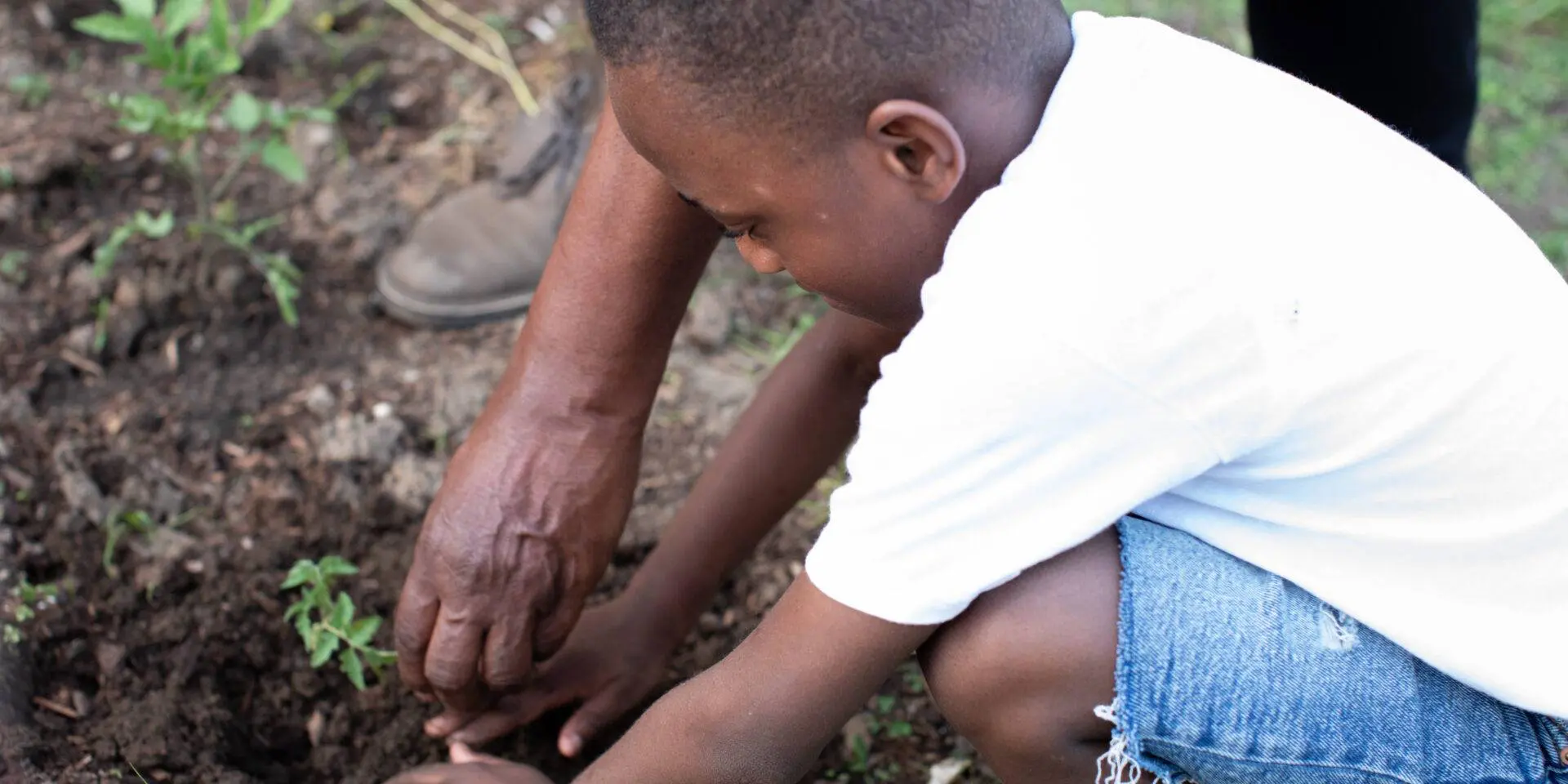 Child planting seeds in garden