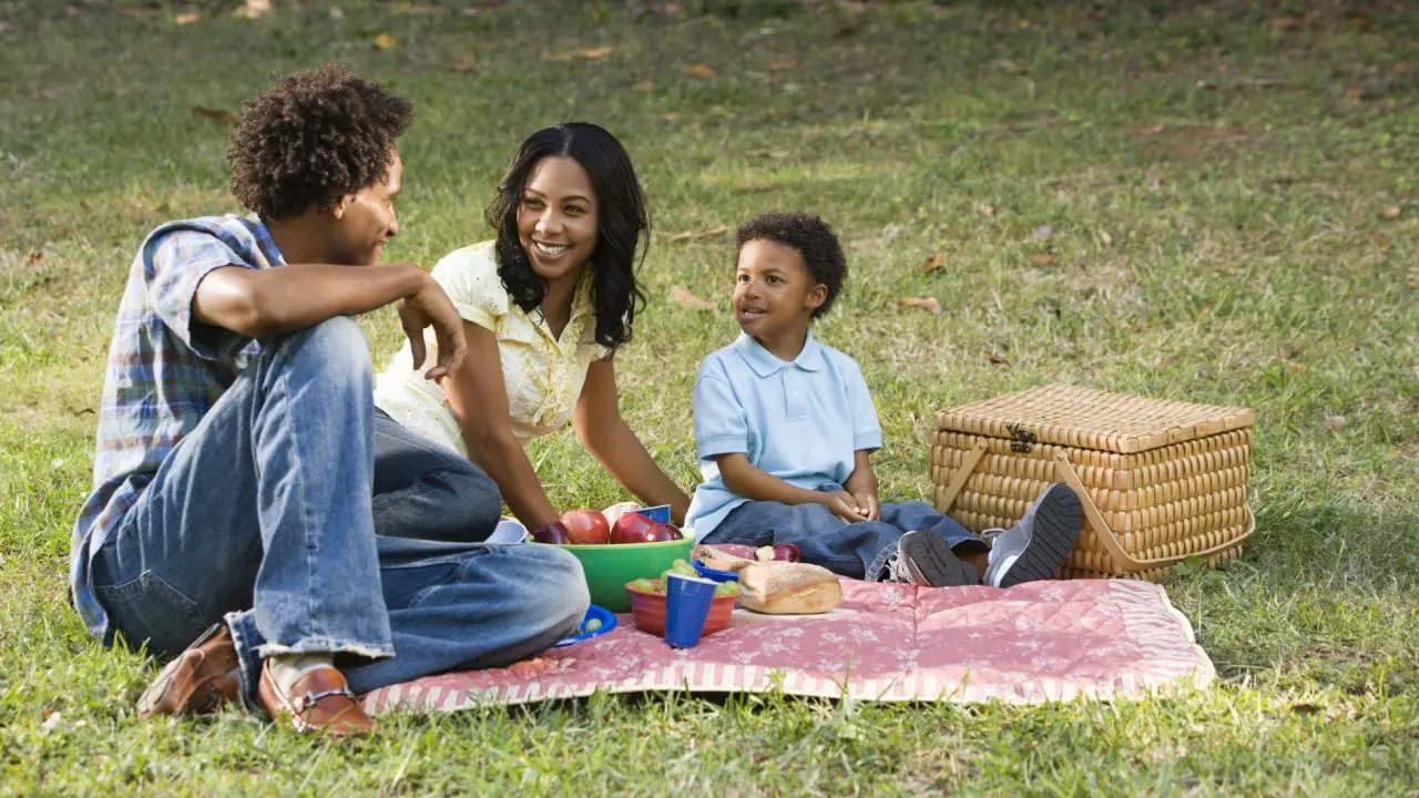 Young family enjoying a picnic in the park during the summer holidays