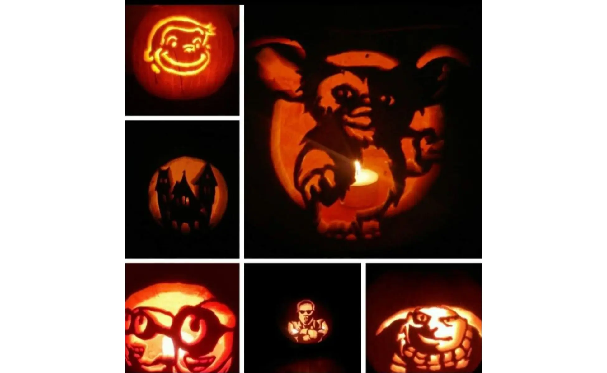 Halloween pumpkins from WAY